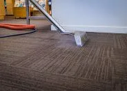 Eco-Friendly Carpet and Upholstery Cleaning Professionals in Bonney Lake, WA