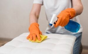 Professional Upholstery Cleaner In Puyallup, WA
