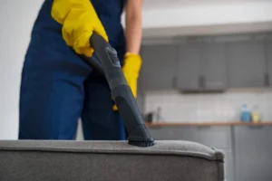 Professional Upholstery Cleaning in Bonney Lake, WA | Gary’s Carpet