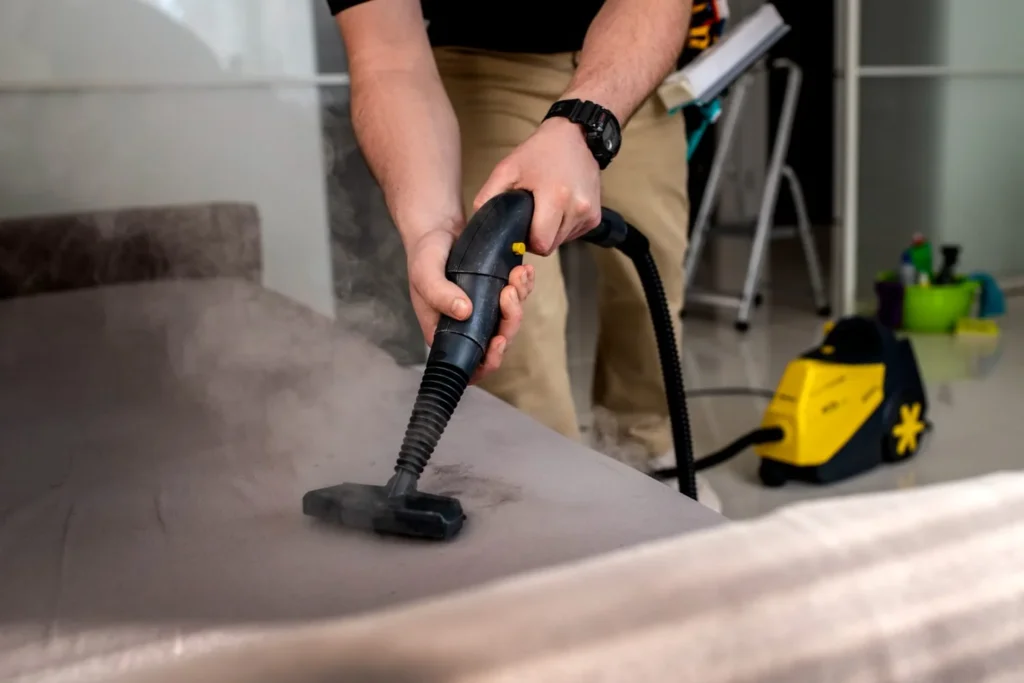 Professional Upholstery Cleaning in Bonney Lake, WA | Gary’s Carpet